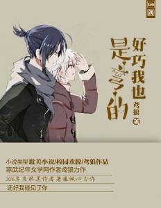 好巧,我也是彎的